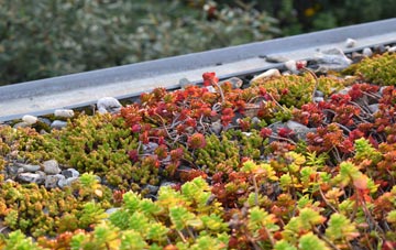 the cost of Jealotts Hill green roof installation
