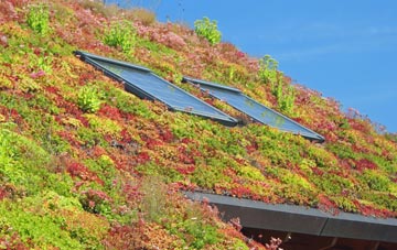 Jealotts Hill living roof systems