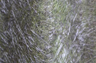 Jealotts Hill fibreglass roof work